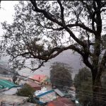 नैनीताल व उसके आसपास मौसम का मिजाज बिगड़ने बढ़ रही है ठंड। तेज हवाओं के साथ बर्फ के पड़ रहे फाहे।